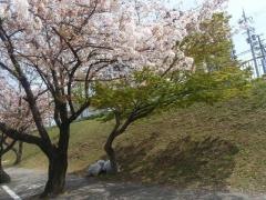 三栖公園