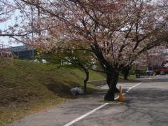 三栖公園