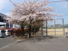 三栖公園
