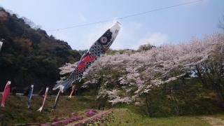 川上ダム公園