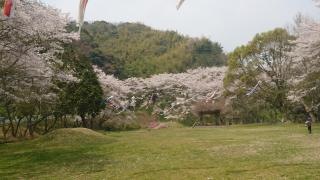 川上ダム公園