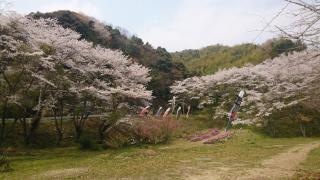 川上ダム公園