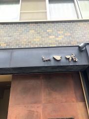 一陽