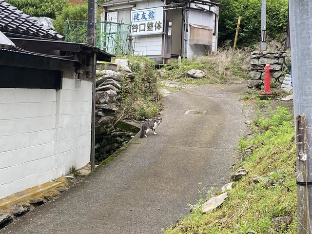 健友館谷口整体