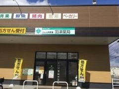 クスリのアオキ　羽津店