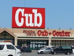 カブセンター柏店