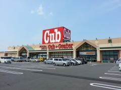 カブセンター柏店