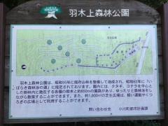 羽木上森林公園