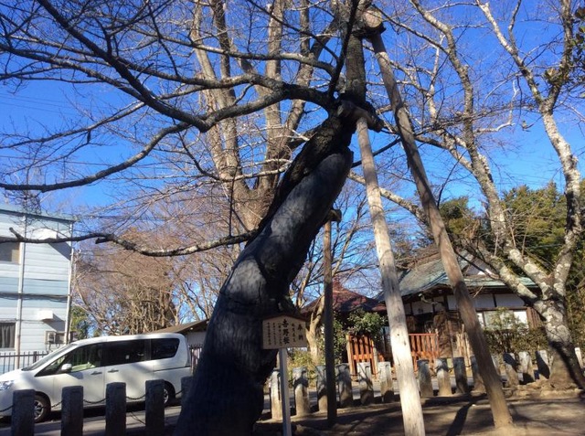 施設写真572