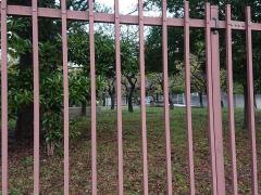 大谷田公園