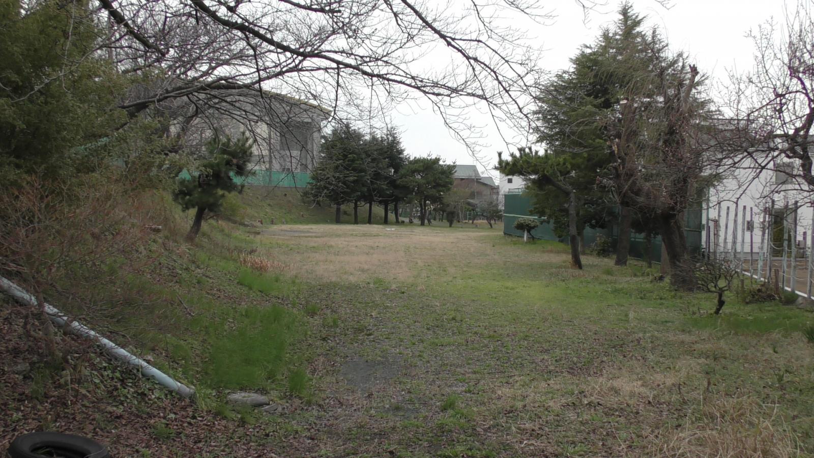 茅ヶ崎 市立 松林 中学校