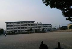 稲生小学校