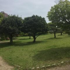 旭ケ丘近隣公園