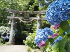 大聖寺