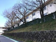 桃園小学校