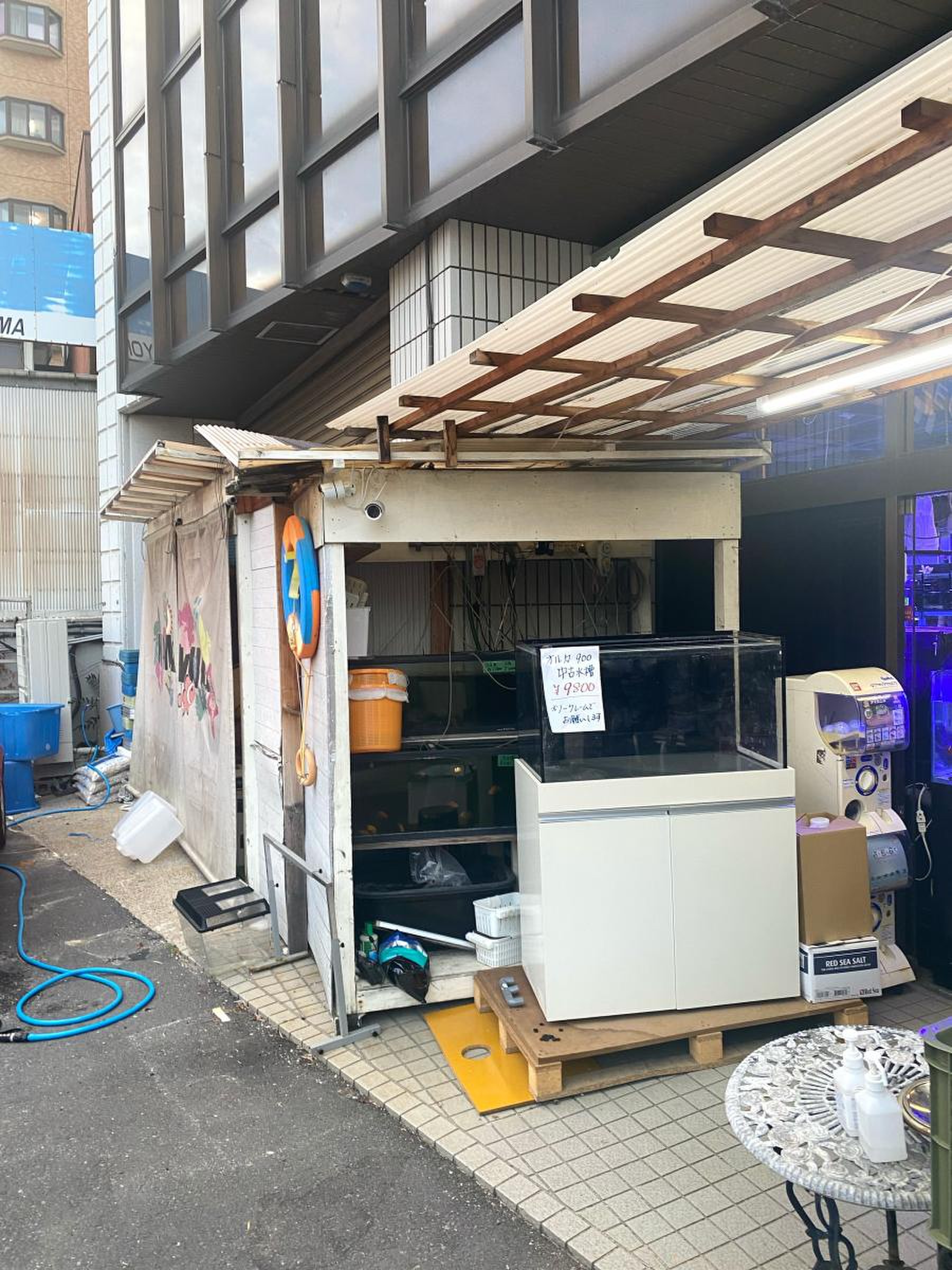 生麦 海水 魚 センター