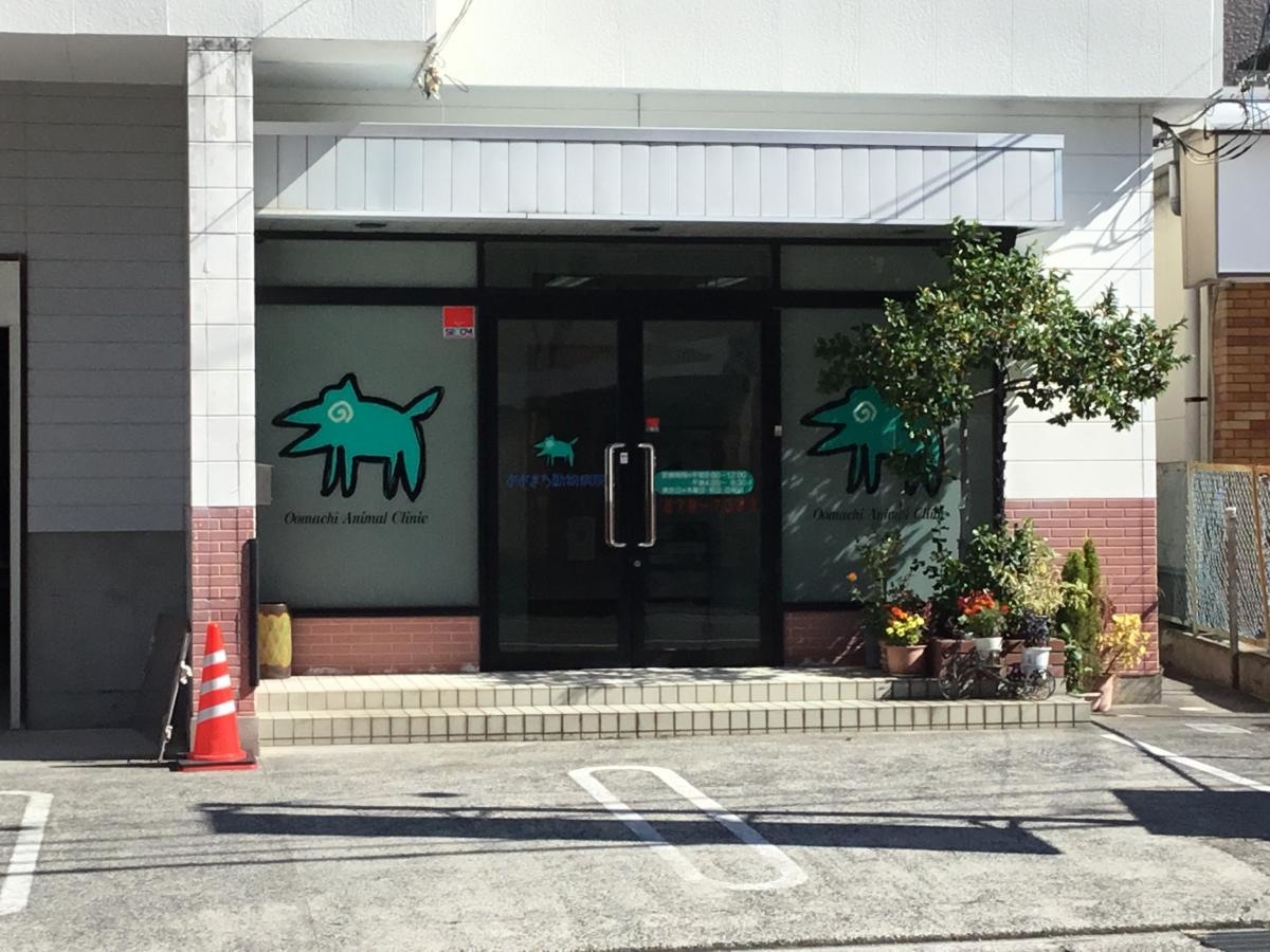 入口です。