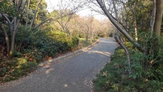 平磯緑地