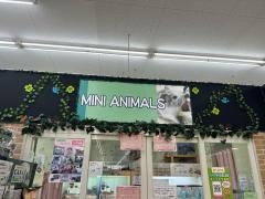 ペットプラザ　摂津鳥飼西店