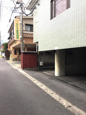 ドッグメディカル えとう動物病院 別府市南的ケ浜町