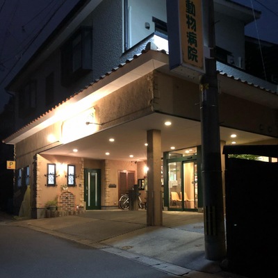 ドッグメディカル えとう動物病院 別府市南的ケ浜町