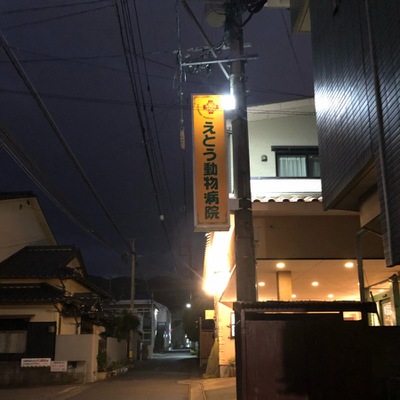 ドッグメディカル えとう動物病院 別府市南的ケ浜町