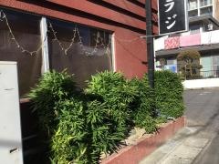 焼肉トラジ