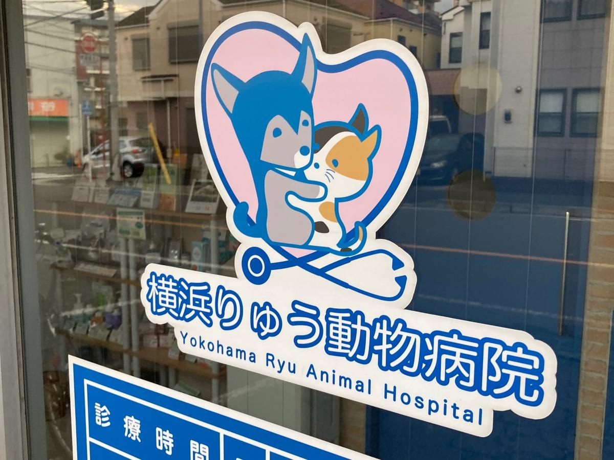 横浜りゅう動物病院の施設外観です。