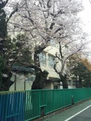 調布大塚小学校