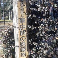 東中前の森緑地