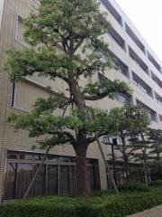 日本車輌製造株式会社