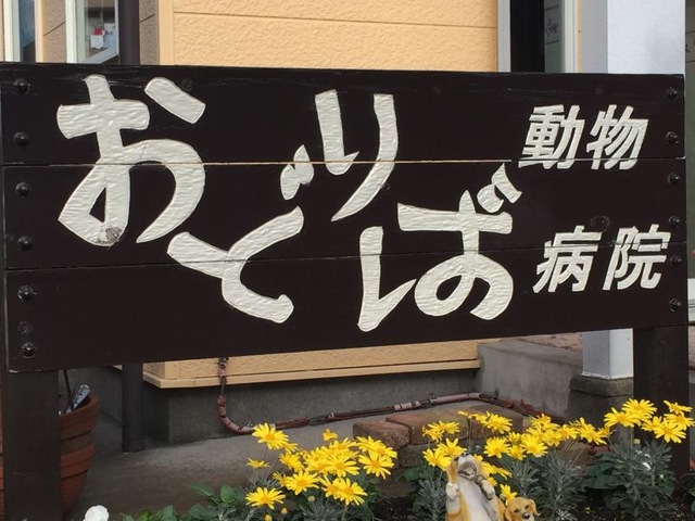 施設写真13
