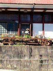 大八そば