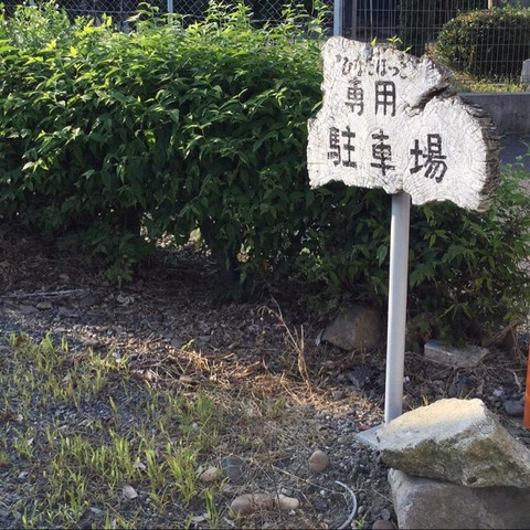 ひなたぼっこ