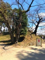 揚亀園
