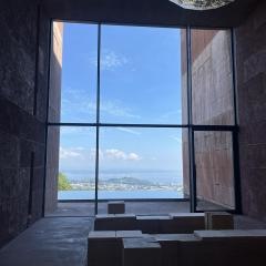 ＧＡＬＬＥＲＩＡ　ＭＩＤＯＢＡＲＵ