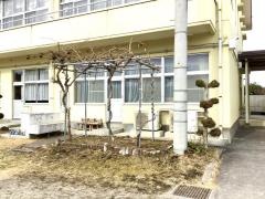 轟小学校