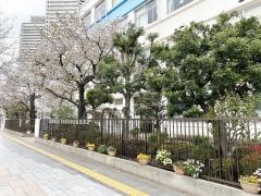 にじのはし幼稚園