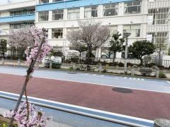 にじのはし幼稚園