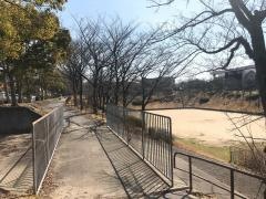 梨の木公園