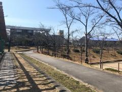 梨の木公園