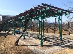 梨の木公園