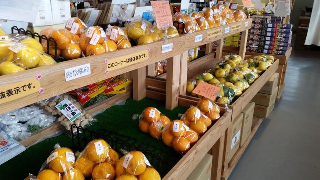施設写真179