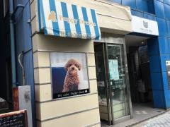 パピードリーム