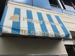 パピードリーム