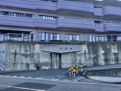 海楽園