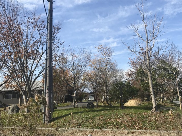 風蝶木 雰囲気