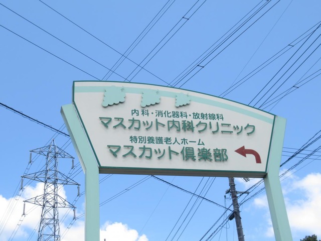 マスカット