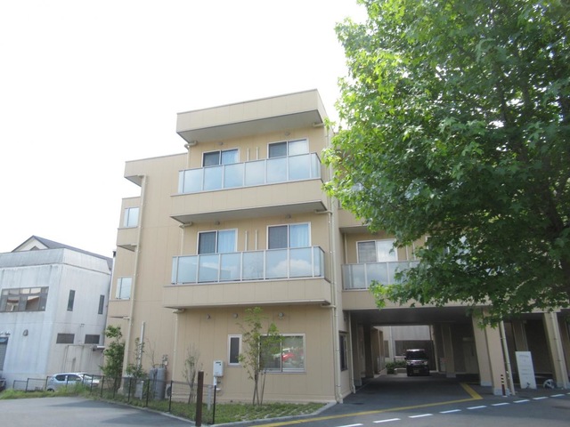 マスカット
