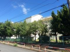 千城台南小学校